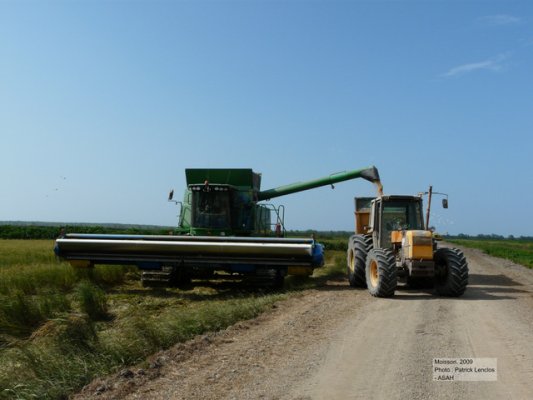 Image 7 | Descriptif : Moisson | Année : 2007 | Auteur/source : Patrick Lenclos, ASAH
