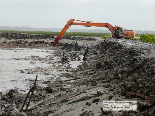 Image 9 | Descriptif : Tractopelle construisant une digue | Année : 2010 | Auteur/source : Patrick Lenclos, ASAH