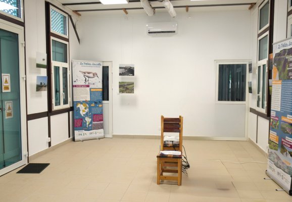 Exposition des photos