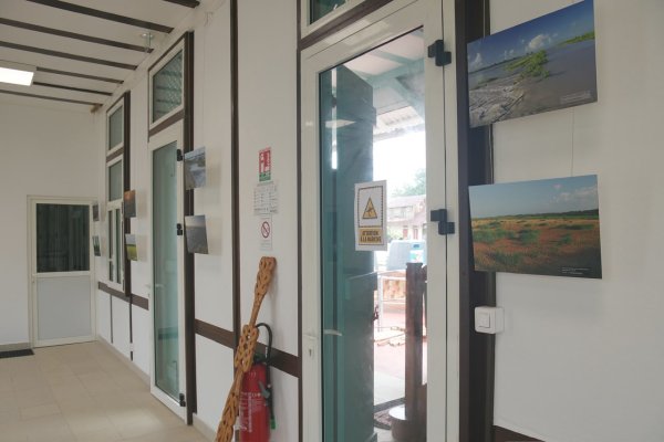 Exposition des photos